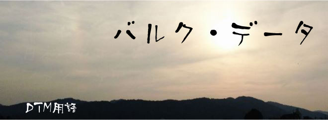 バルク・データ DTM用語