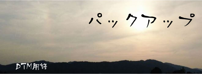 パックアップ DTM用語